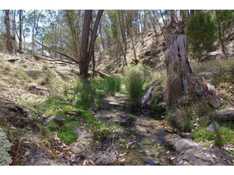 Montana, Tomalla Rd, Ellerston NSW 2337