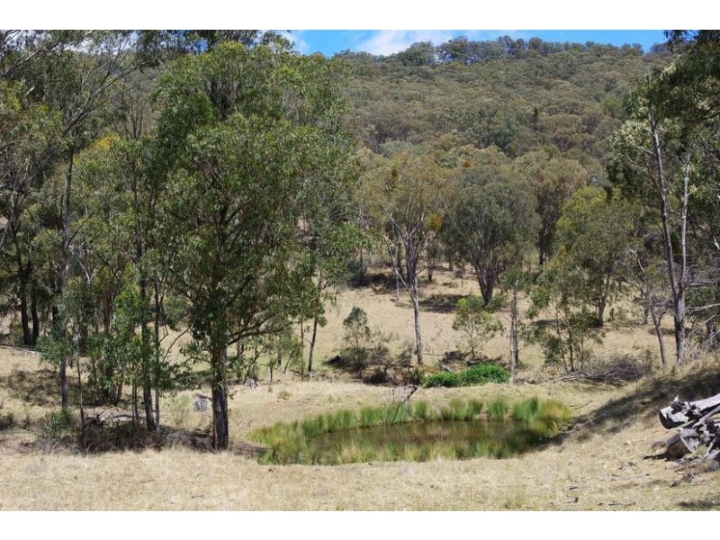 Montana, Tomalla Rd, Ellerston NSW 2337