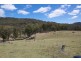 Montana, Tomalla Rd, Ellerston NSW 2337