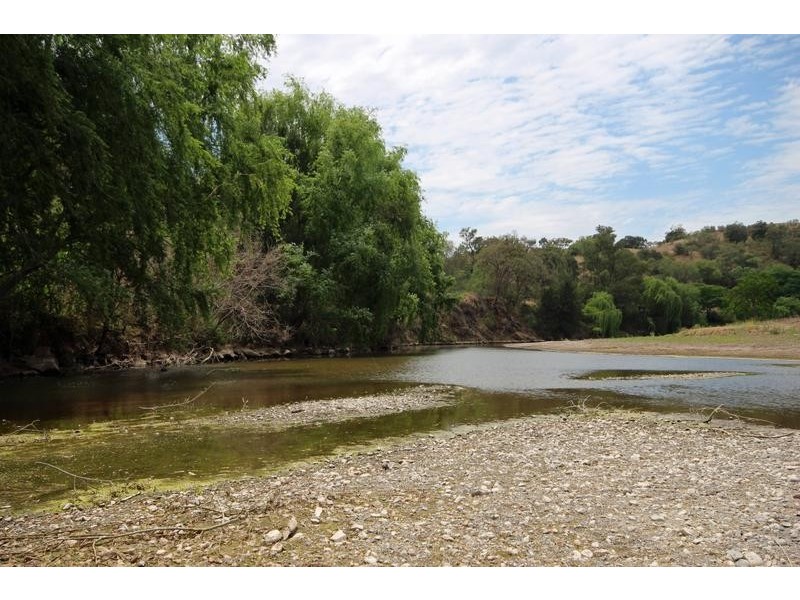 1265 Gundy Road, Scone NSW 2337