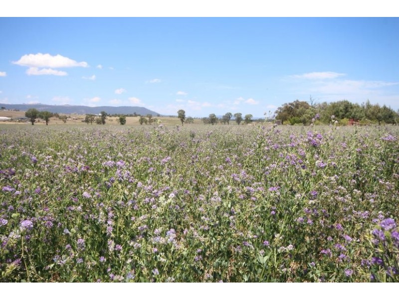 112 Cliftlands Rd, Scone NSW 2337