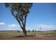 112 Cliftlands Rd, Scone NSW 2337