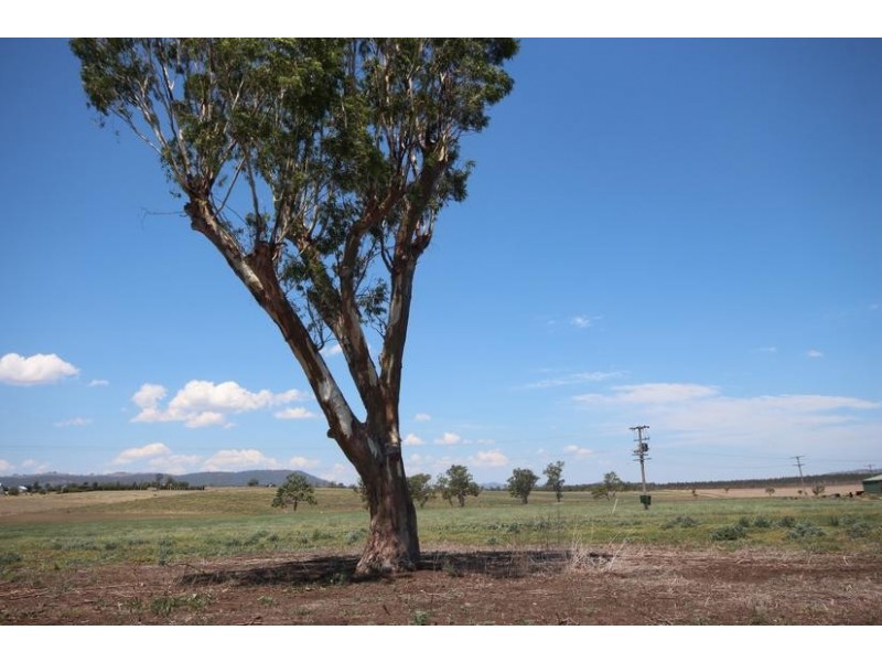 112 Cliftlands Rd, Scone NSW 2337