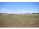 112 Cliftlands Rd, Scone NSW 2337