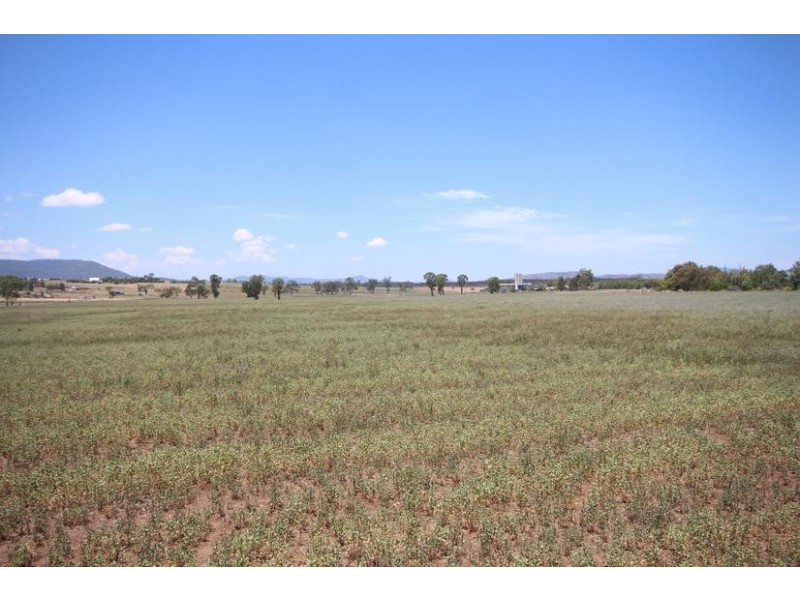 112 Cliftlands Rd, Scone NSW 2337