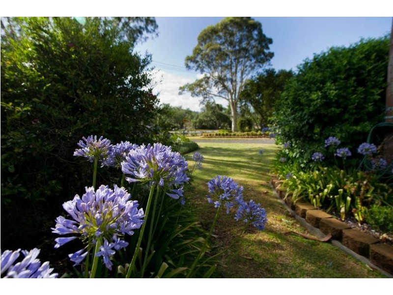 203 MacQueen St, Aberdeen NSW 2336