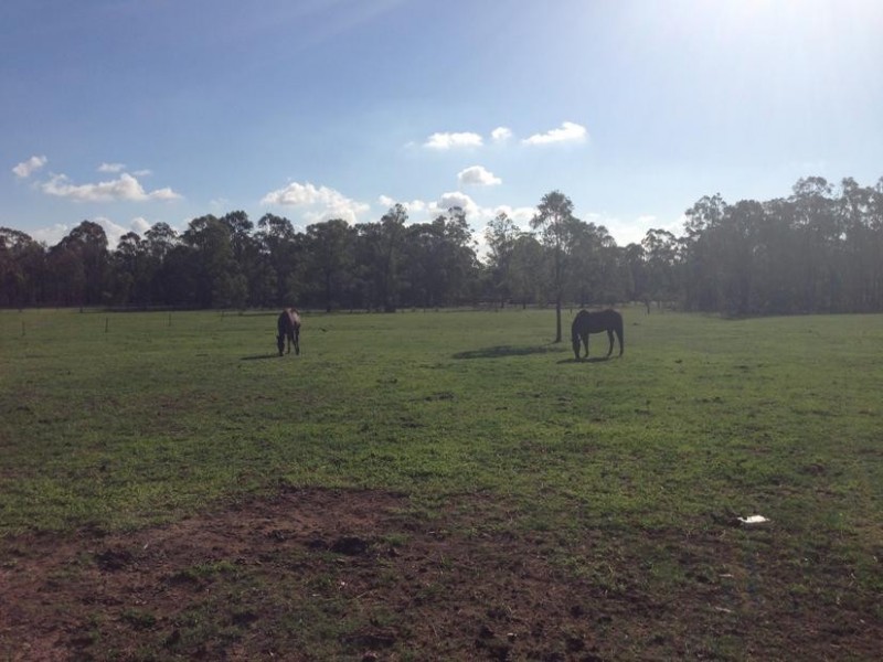 31 Pamger Drive, Muswellbrook NSW 2333