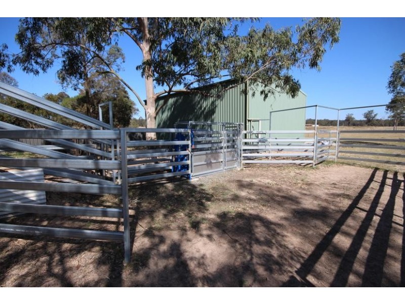 31 Pamger Drive, Muswellbrook NSW 2333