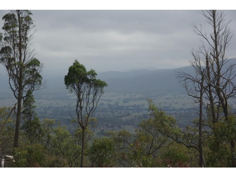 5 Ollerton Drive, Scone NSW 2337