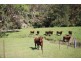 ”Top View”, Moonan Flat NSW 2337