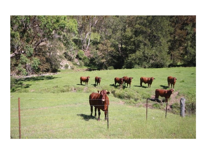 ”Top View”, Moonan Flat NSW 2337