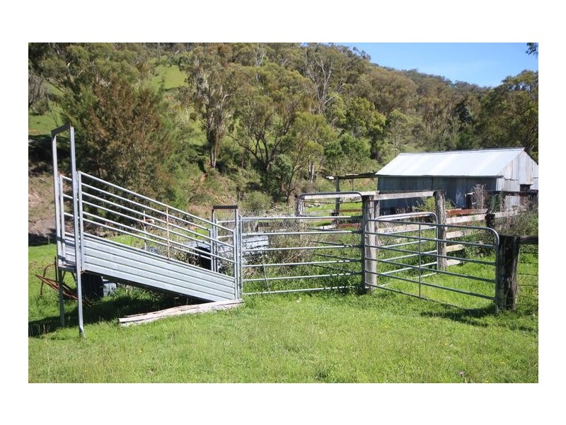”Top View”, Moonan Flat NSW 2337
