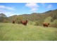 ”Top View”, Moonan Flat NSW 2337