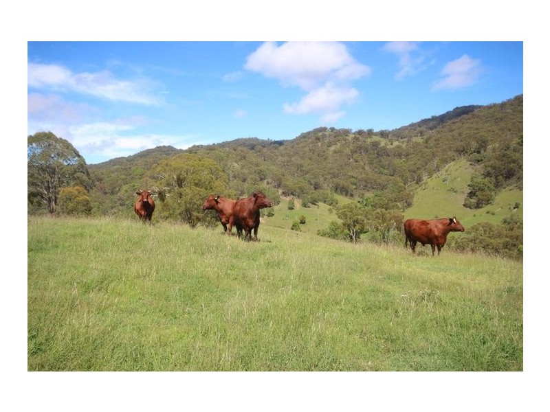 ”Top View”, Moonan Flat NSW 2337