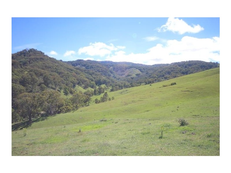 ”Top View”, Moonan Flat NSW 2337