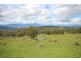 ”Top View”, Moonan Flat NSW 2337