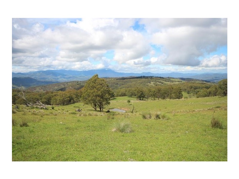 ”Top View”, Moonan Flat NSW 2337