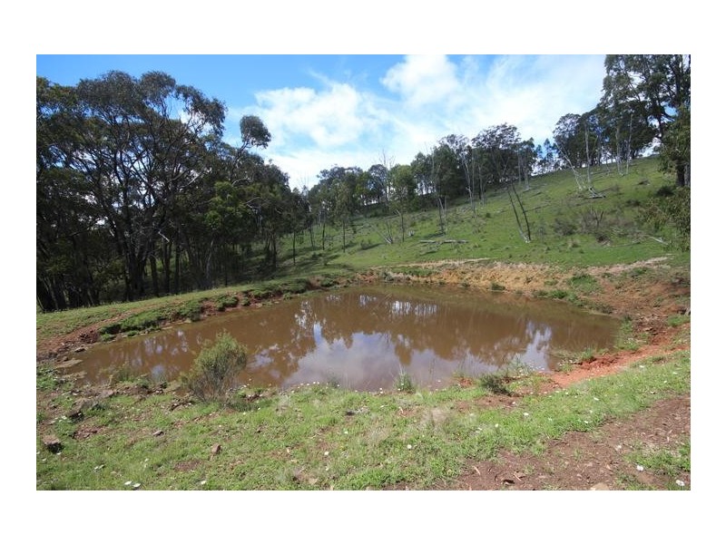 ”Top View”, Moonan Flat NSW 2337