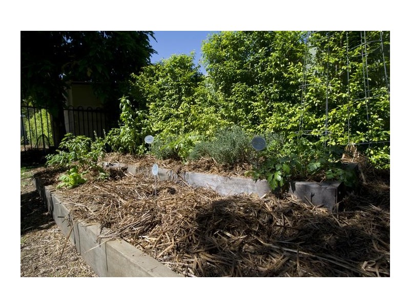 59 Oxford Road, Scone NSW 2337