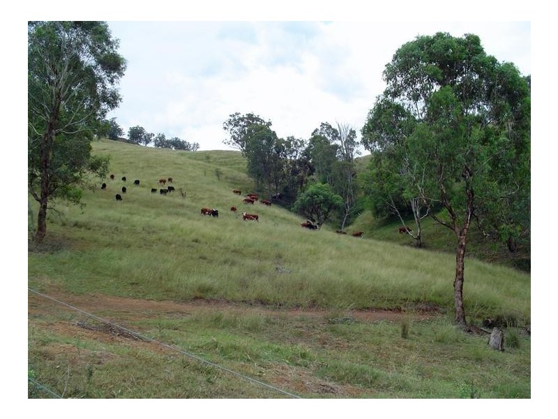 2 MacCallum Street, Moonan Flat NSW 2337