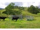 2357 Stewarts Brook Road, Scone NSW 2337