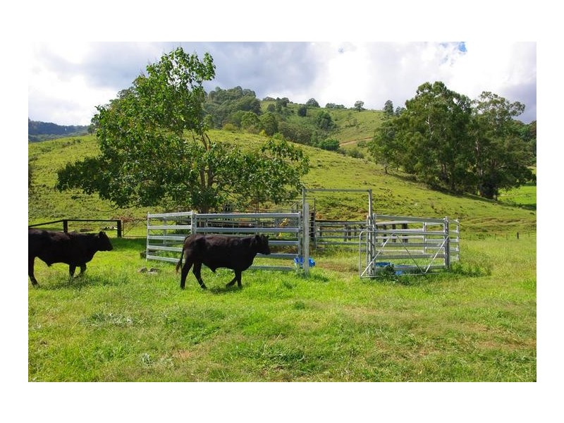 2357 Stewarts Brook Road, Scone NSW 2337