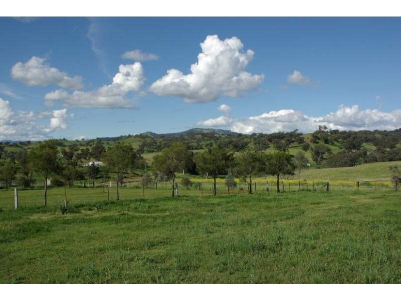 9 Wilson St, Gundy NSW 2337