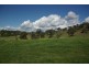 9 Wilson St, Gundy NSW 2337