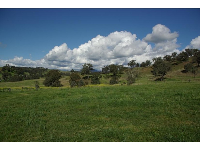 9 Wilson St, Gundy NSW 2337