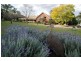 . Moobi Road, Scone NSW 2337