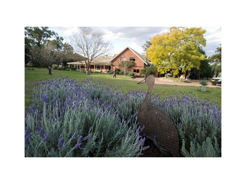 . Moobi Road, Scone NSW 2337