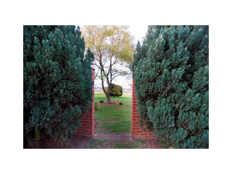 . Moobi Road, Scone NSW 2337