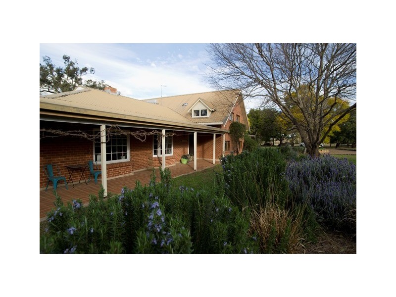 . Moobi Road, Scone NSW 2337