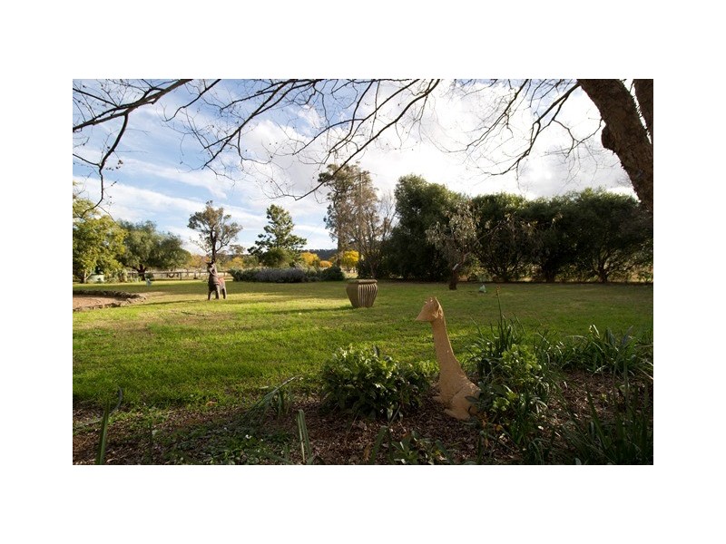 . Moobi Road, Scone NSW 2337