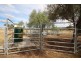 . Moobi Road, Scone NSW 2337