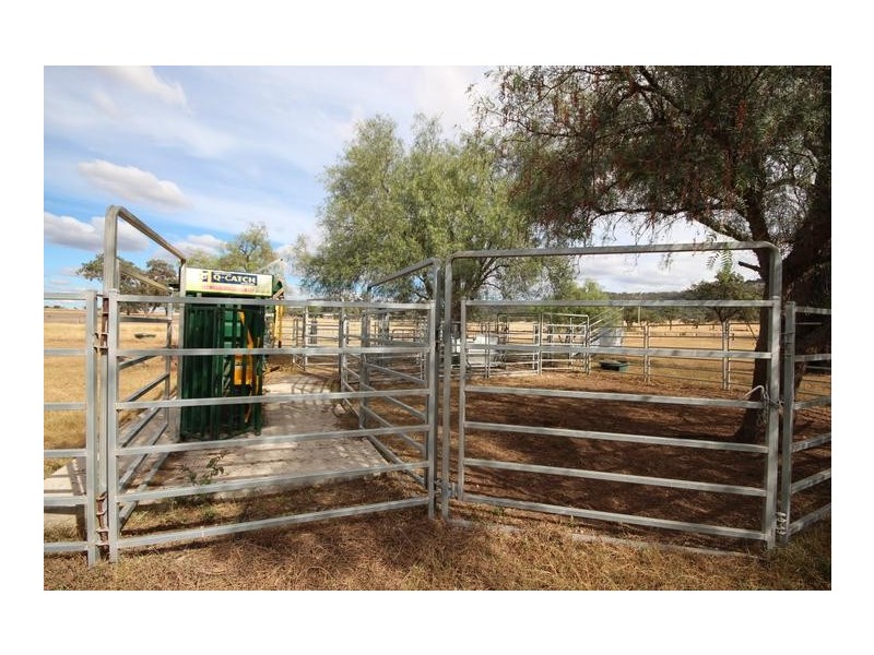 . Moobi Road, Scone NSW 2337