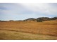 924 Rouchel Road, Scone NSW 2337