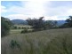 . Borambil Creek Road, Willow Tree NSW 2339
