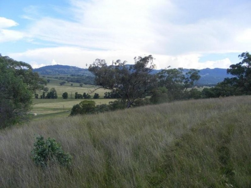 . Borambil Creek Road, Willow Tree NSW 2339