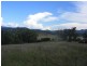 . Borambil Creek Road, Willow Tree NSW 2339
