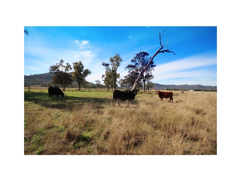 Lot 3, 197 Mount Dangar Road, Sandy Hollow NSW 2333
