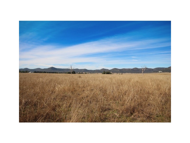 Lot 3, 197 Mount Dangar Road, Sandy Hollow NSW 2333