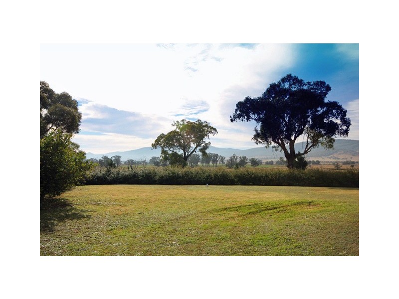 19 Davies Street, Scone NSW 2337