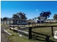 134 Allan Cunningham Road, Scone NSW 2337