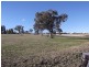 134 Allan Cunningham Road, Scone NSW 2337