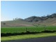 192 Segenhoe Road, Aberdeen NSW 2336