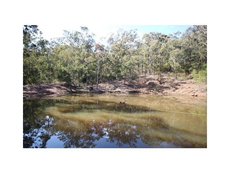 298 Dry Creek Road, Scone NSW 2337