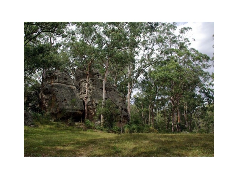 298 Dry Creek Road, Scone NSW 2337