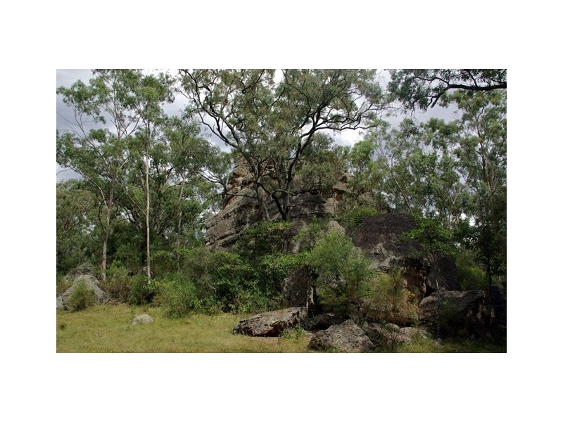 298 Dry Creek Road, Scone NSW 2337