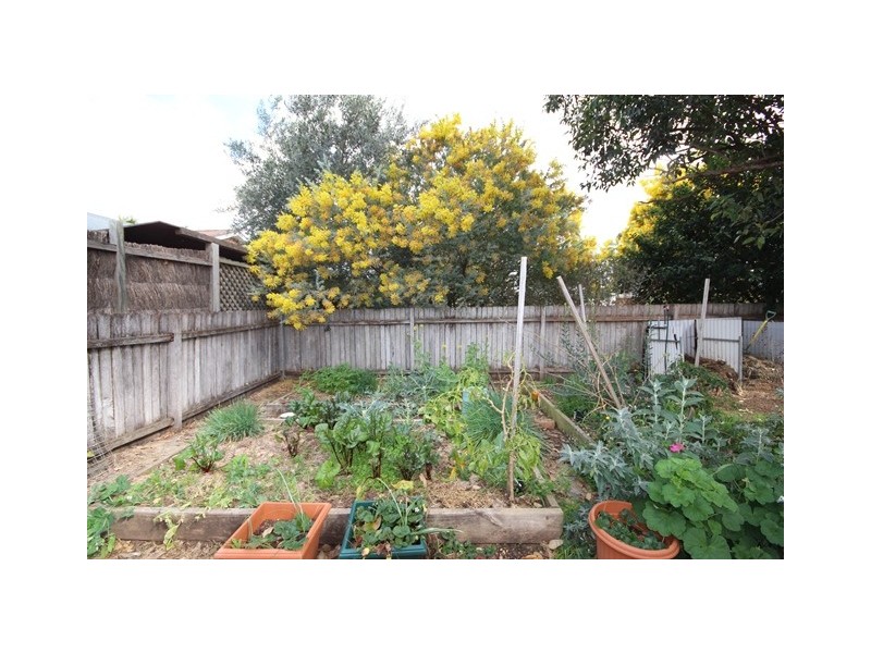 36 Davies Street, Scone NSW 2337